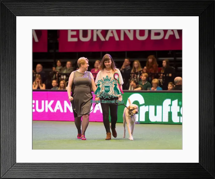 Framed Print : Friends for Life Framed Print : Friends for Life
