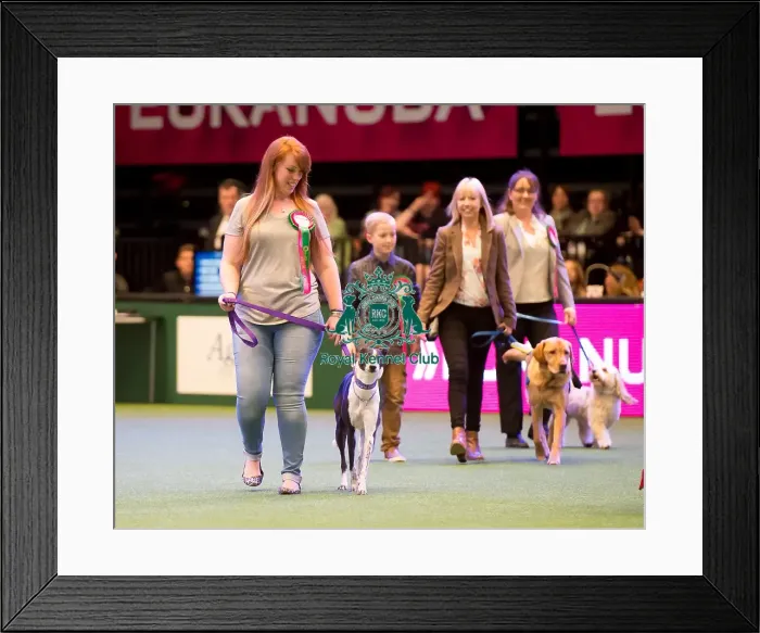 Framed Print : Friends for Life Framed Print : Friends for Life