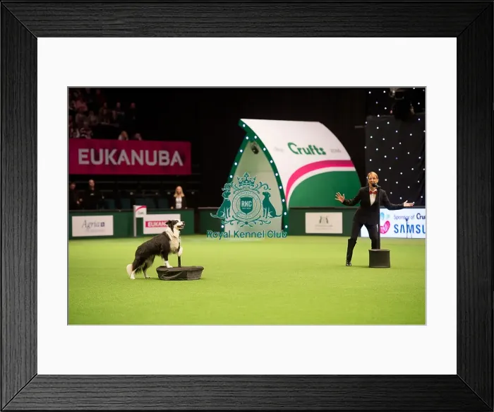 Framed Print : Freestyle Heelwork to Music 3rd place Caroline Johnson Framed Print : Freestyle Heelwork to Music 3rd place Caroline Johnson