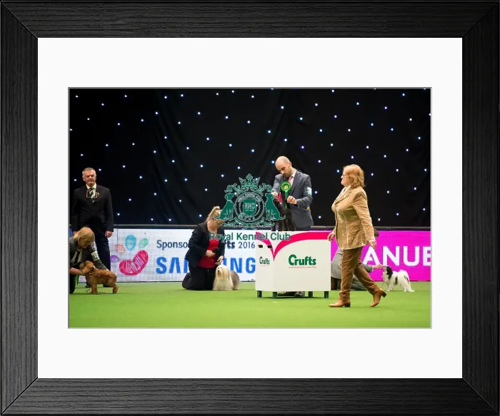 Framed Print : Toy Group judging Framed Print : Toy Group judging