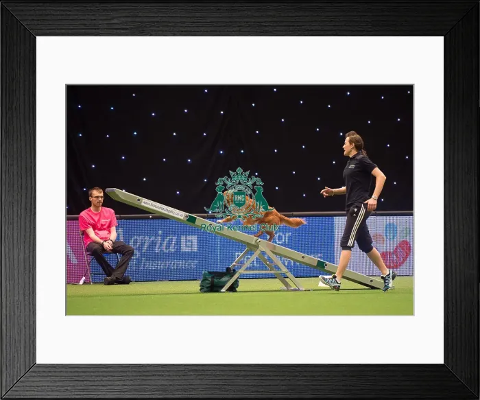 Framed Print : Amands Hampson winner of KC British Open Final medium Framed Print : Amands Hampson winner of KC British Open Final medium