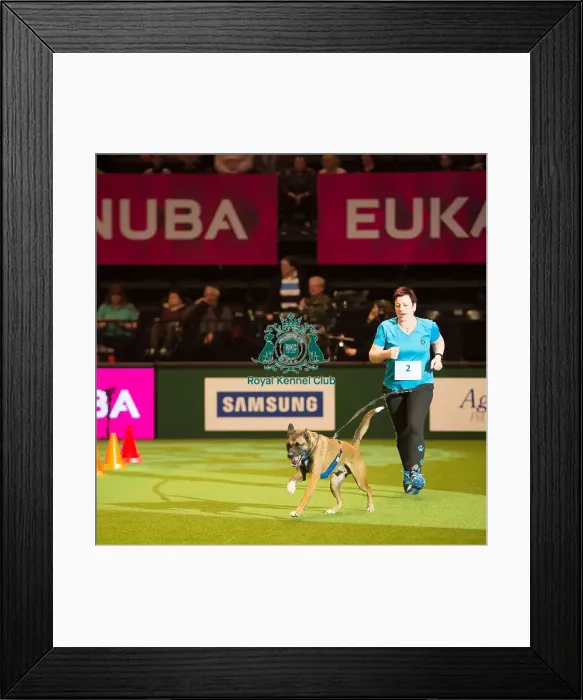 Framed Print : Trailrunners Framed Print : Trailrunners