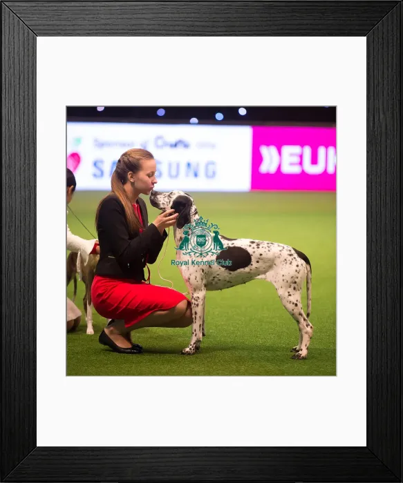Framed Print : Junior Handler