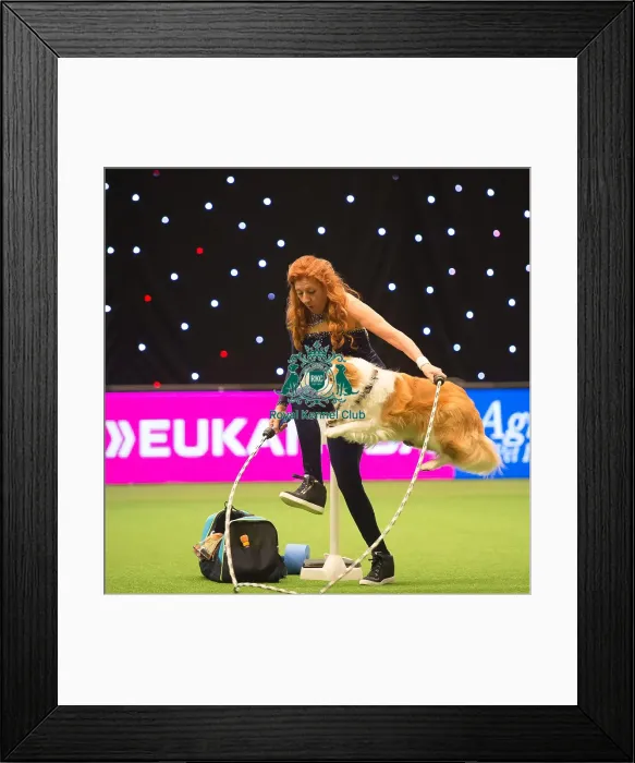 Framed Print : Heelwork to Music - Freestyle International Competition Framed Print : Heelwork to Music - Freestyle International Competition