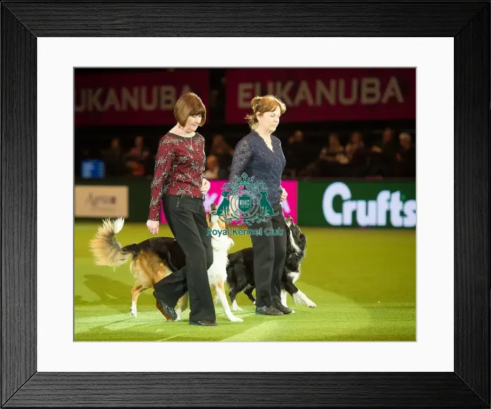 Framed Print : Obedience Winners 2016 Framed Print : Obedience Winners 2016
