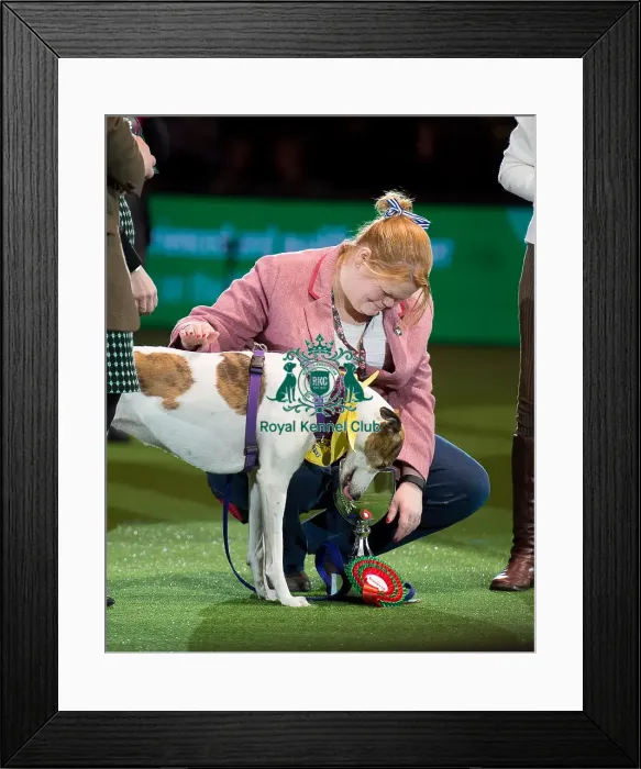 Framed Print : Scruffts winner Framed Print : Scruffts winner