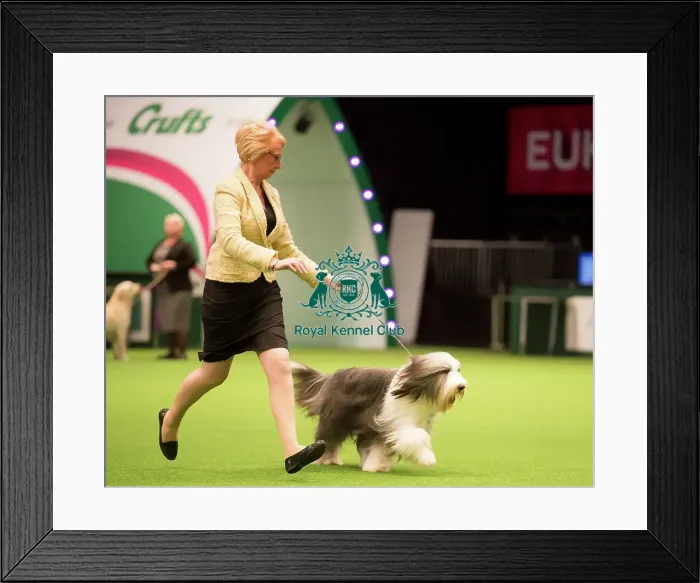 Framed Print : Junior Warrant Competition Final