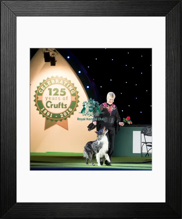 Framed Print : Mary Ray Heelwork to Music demo Framed Print : Mary Ray Heelwork to Music demo
