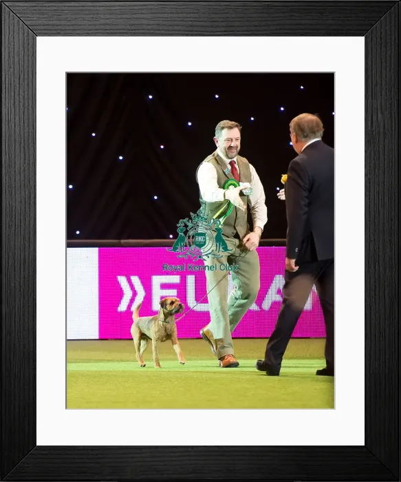 Framed Print : Terrier Group