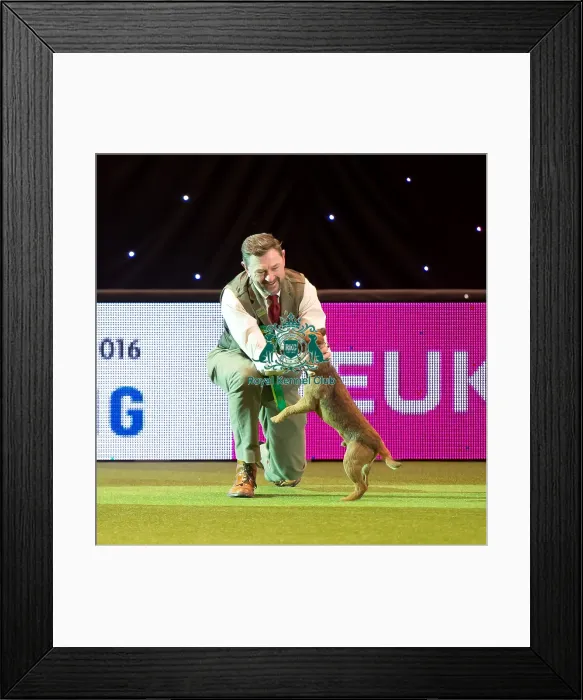 Framed Print : Terrier Group Framed Print : Terrier Group