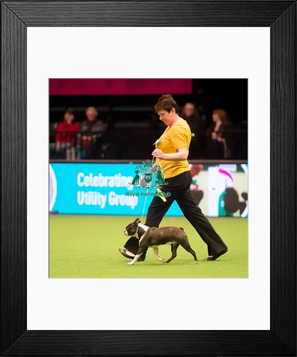 Framed Print : judging of Utility Group