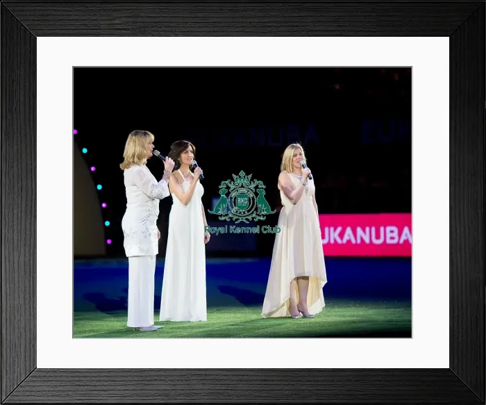 Framed Print : Singers Framed Print : Singers
