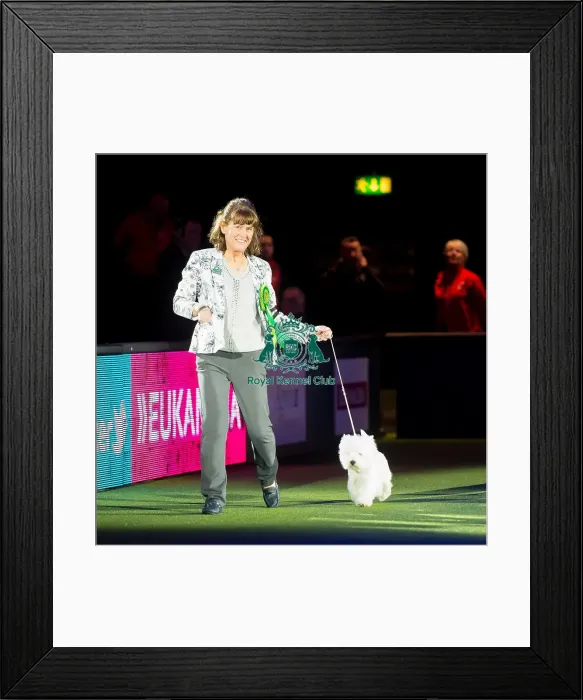Framed Print : BIS winner Framed Print : BIS winner
