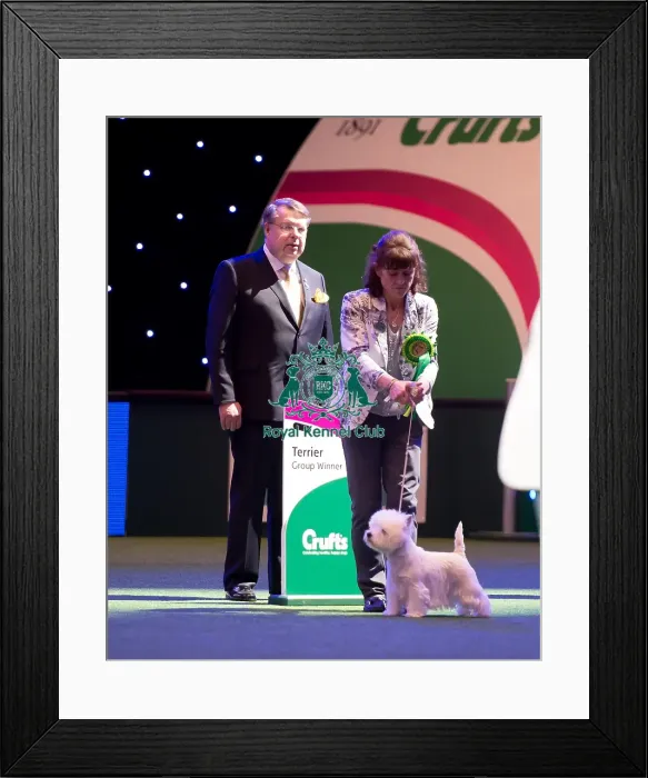 Framed Print : BIS winner Framed Print : BIS winner