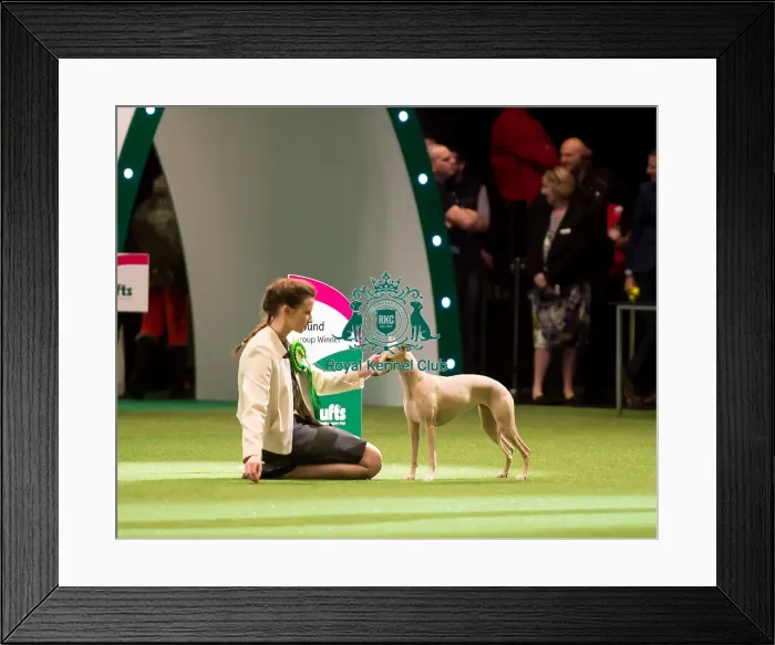 Framed Print : Reserve BIS winner