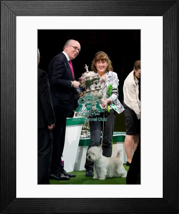 Framed Print : BIS winner