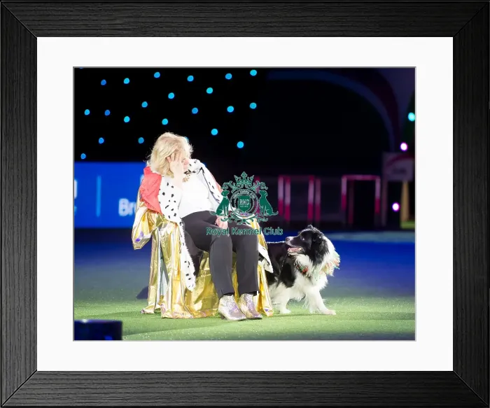 Framed Print : Heelwork to Music display Framed Print : Heelwork to Music display