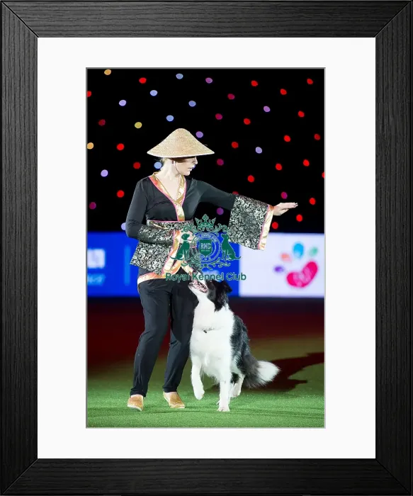 Framed Print : Heelwork to Music display Framed Print : Heelwork to Music display