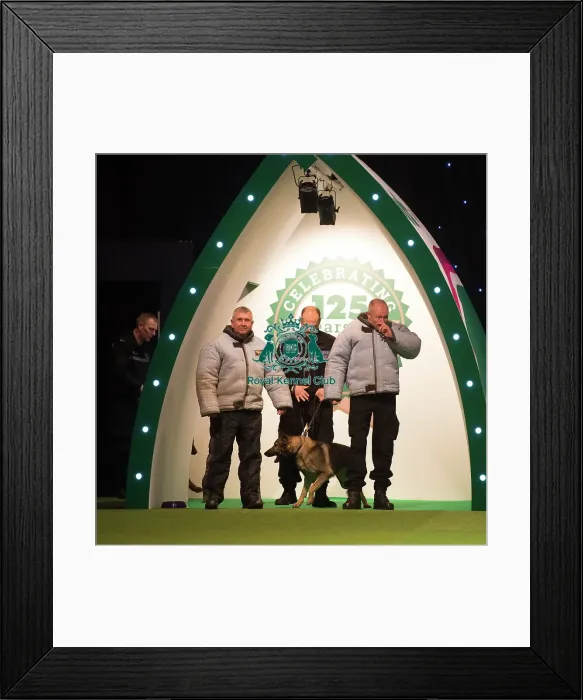 Framed Print : West Midlands Police Display Framed Print : West Midlands Police Display