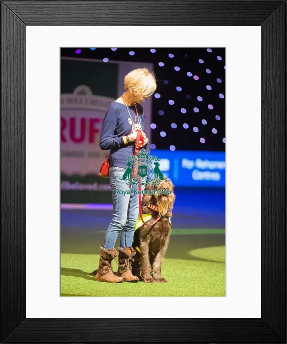 Framed Print : Scruffts Final Framed Print : Scruffts Final
