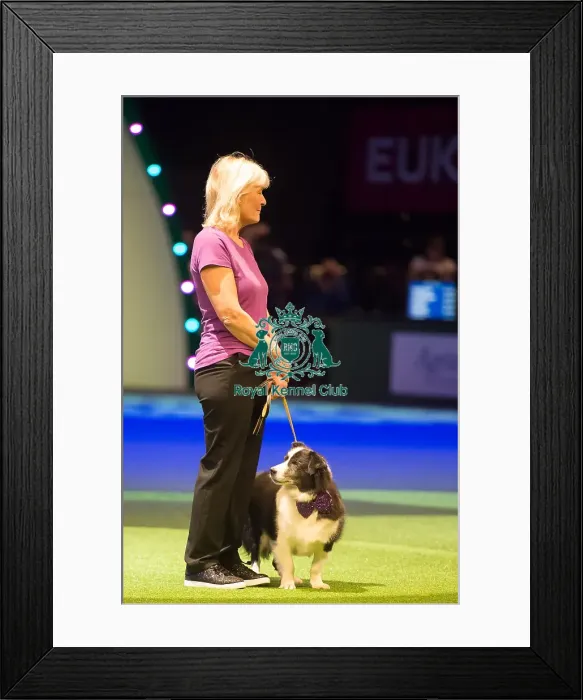 Framed Print : Scruffts Final