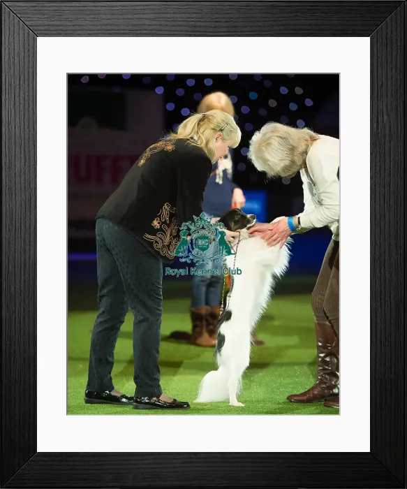 Framed Print : Scruffts Final Framed Print : Scruffts Final