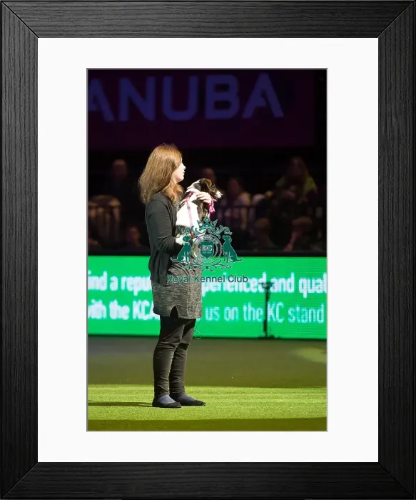 Framed Print : Scruffts Final