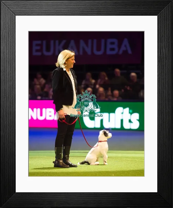 Framed Print : Scruffts Final Framed Print : Scruffts Final