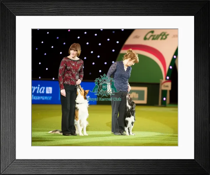 Framed Print : Obedience Winners 2016 Framed Print : Obedience Winners 2016