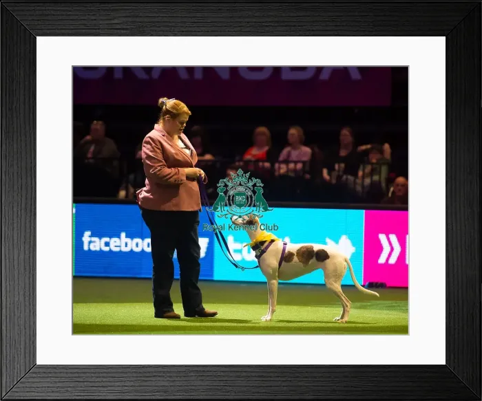 Framed Print : Scruffts Final - winner Framed Print : Scruffts Final - winner