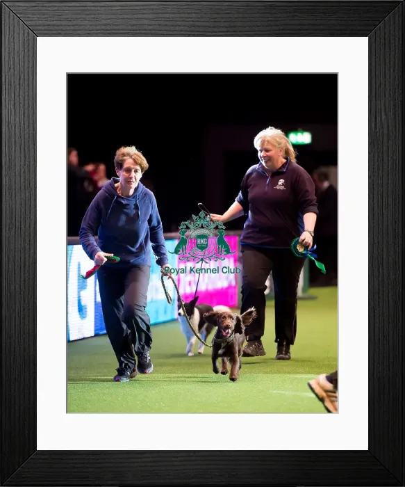 Framed Print : lap of honour small winners KC Novice Cup Framed Print : lap of honour small winners KC Novice Cup