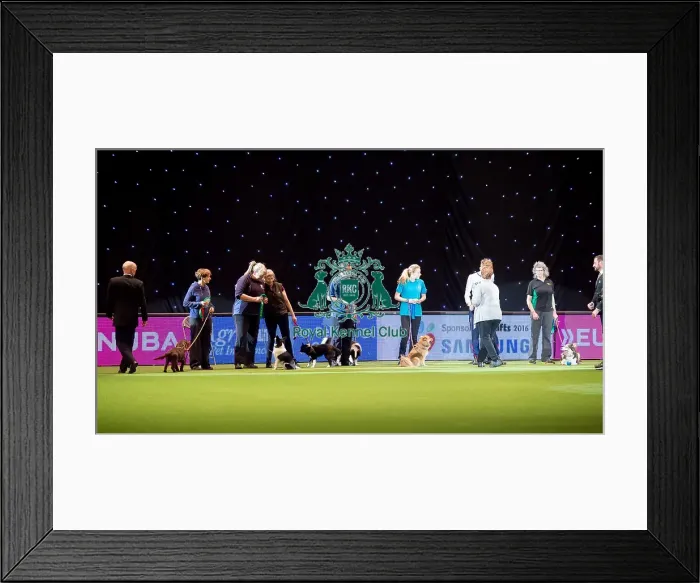 Framed Print : line up KC Novice Cup Framed Print : line up KC Novice Cup