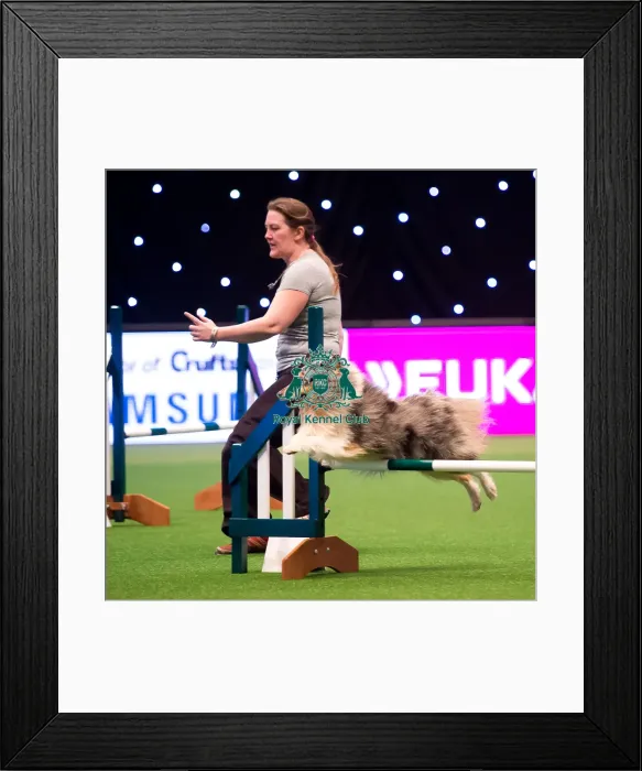 Framed Print : KC British Open