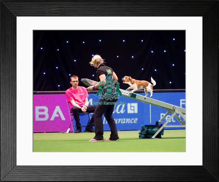 Framed Print : overall winner small KC British Open Framed Print : overall winner small KC British Open