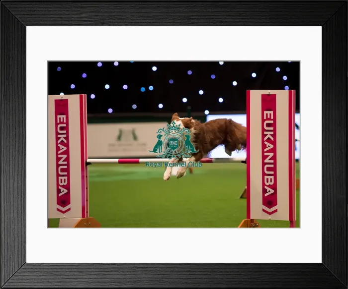 Framed Print : Large teams agility final Framed Print : Large teams agility final