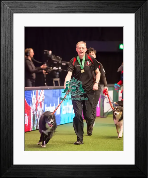 Framed Print : Large teams agility final - winner Framed Print : Large teams agility final - winner