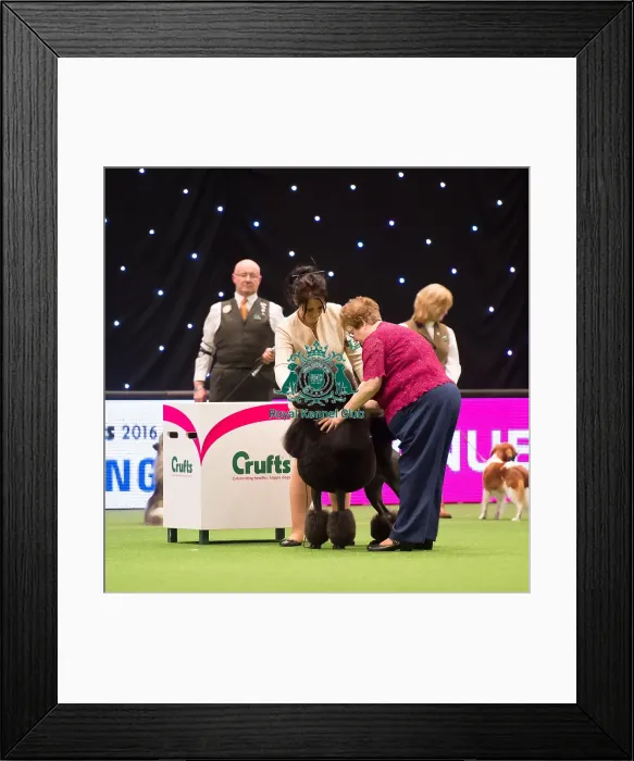 Framed Print : judging of Utility Group Framed Print : judging of Utility Group