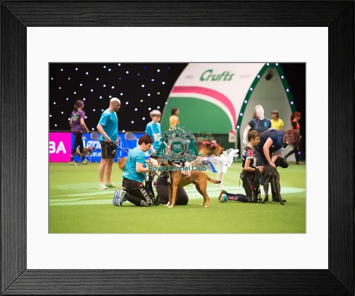 Framed Print : Trailrunners Framed Print : Trailrunners