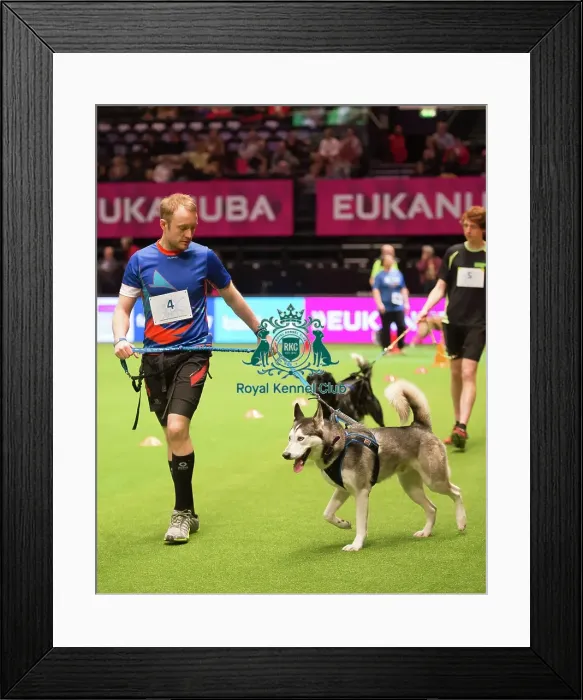 Framed Print : Trailrunners