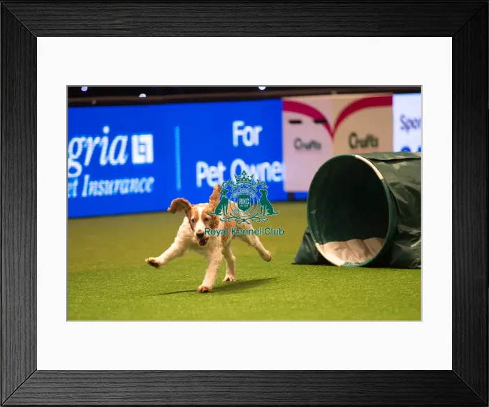 Framed Print : Teams Medium Final Framed Print : Teams Medium Final