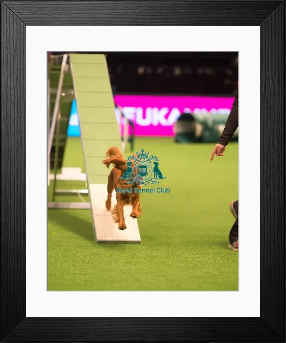 Framed Print : Teams Medium Final