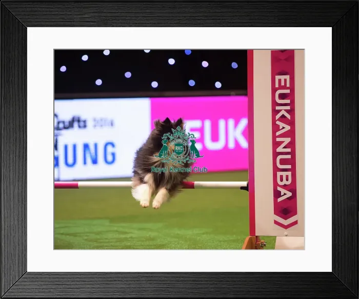 Framed Print : Teams Medium Final Framed Print : Teams Medium Final