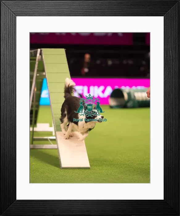 Framed Print : Teams Medium Final Framed Print : Teams Medium Final