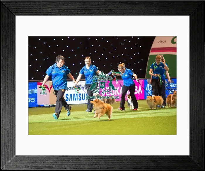 Framed Print : Teams Medium Final - winners Framed Print : Teams Medium Final - winners