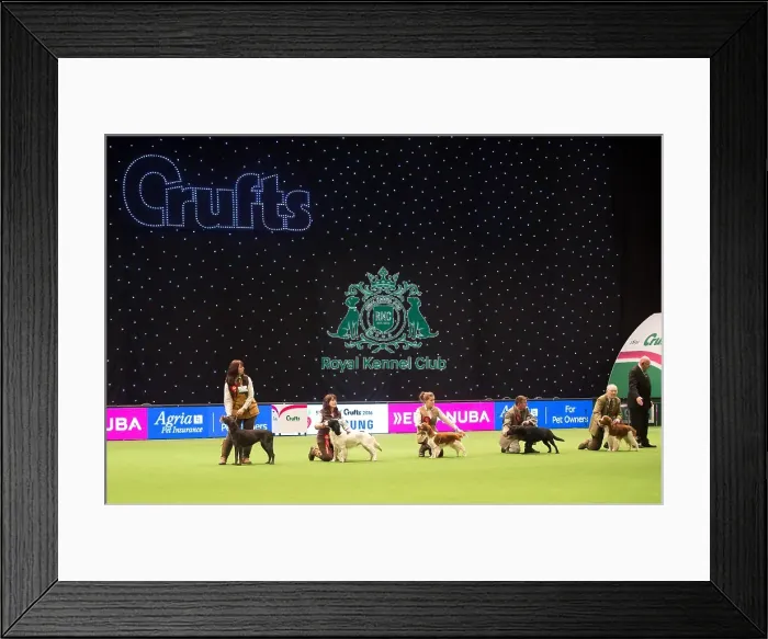 Framed Print : Gamekeepers Competition judging Framed Print : Gamekeepers Competition judging