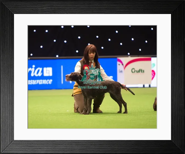 Framed Print : Gamekeepers Competition Framed Print : Gamekeepers Competition
