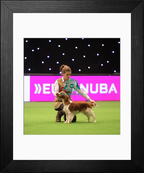 Framed Print : Gamekeepers Competition Framed Print : Gamekeepers Competition