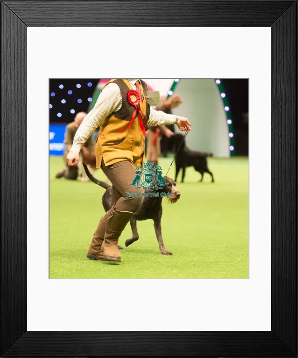 Framed Print : Gamekeepers Competition Framed Print : Gamekeepers Competition