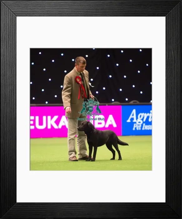 Framed Print : Gamekeepers Competition 2nd Framed Print : Gamekeepers Competition 2nd