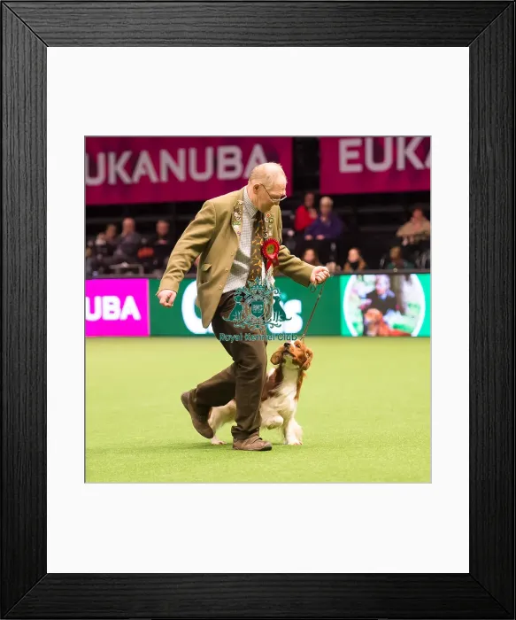 Framed Print : Gamekeepers Competition - winner Framed Print : Gamekeepers Competition - winner